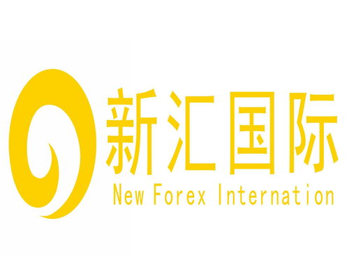 深圳市新匯國際信息技術咨詢 專業的信息技術咨詢服務助力企業數字化轉型